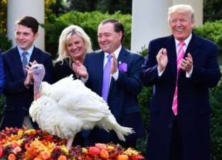 ماذا يفعل ترامب بـ"ديك رومي" في البيت الأبيض بمناسبة عيد الشكر؟