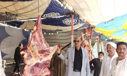 اللحوم بـ250 جنيها.. معرض «خير مزارعنا لأهالينا» يواصل توفير السلع بأسعار مخفضة