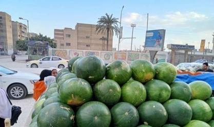 «شعبة الفاكهة»: لدينا اكتفاء ذاتي من البطيخ.. وتراجع كبير في الأسعار قريبا