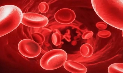 «صحة الشرقية» تكشف أعراض الإصابة بفقر الدم وطرق الوقاية 