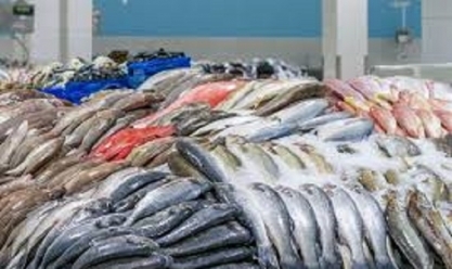 أسعار السمك والجمبري اليوم الثلاثاء 4-6-2024 داخل سوق العبور