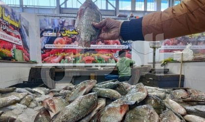 تراجع أسعار السمك والجمبري اليوم الجمعة 19-4-2024 في الأسواق