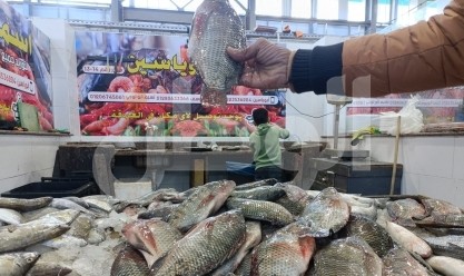 أسعار الأسماك المجمدة والبلدي في سوق العبور.. البلطي الأسواني يبدأ من 30 جنيها