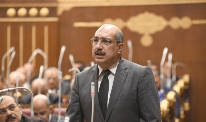 برلماني: سيناء تعيش طفرة تنموية في عهد الرئيس السيسي