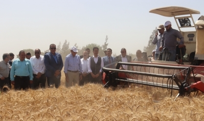 محافظ القليوبية يفتتح موسم حصاد القمح بـ«زراعة مشتهر»: توريد 70 ألف طن (فيديو)