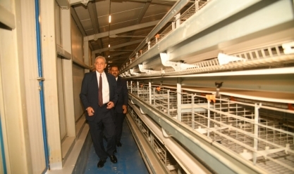 محافظ الغربية: بدء التشغيل التجريبي لمحطة إنتاج البيض في طنطا