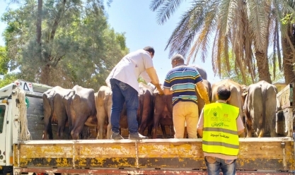 التحالف الوطني يوزع 32 رأس ماشية على 16 أسرة من الأولى بالرعاية في أسيوط