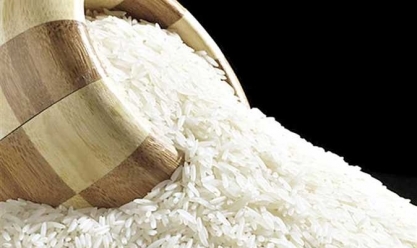 رجب شحاتة: الأرز متوفر في جميع المضارب.. والكيلو يبدأ من 27 جنيها