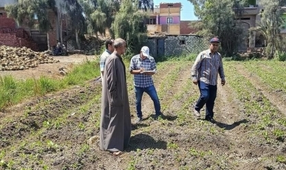 محافظ كفر الشيخ يتابع جهود فحوصات المحاصيل الصيفية وتوعية المزارعين