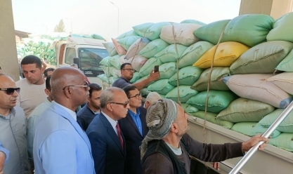 محافظ القليوبية: حصاد 12 ألف فدان من القمح وتوريد 358 طنا إلى الصوامع
