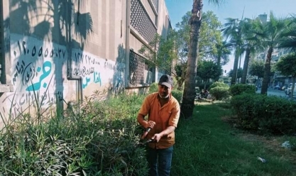 للحفاظ على المظهر الحضاري.. زراعة 230 شجرة متنوعة في الإسكندرية