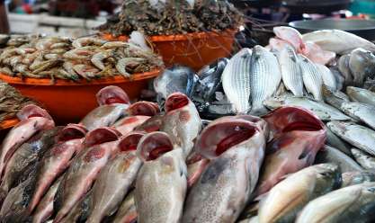 أسعار السمك في سوق العبور اليوم الثلاثاء 18-6-2024.. البلطي بـ30 جنيها