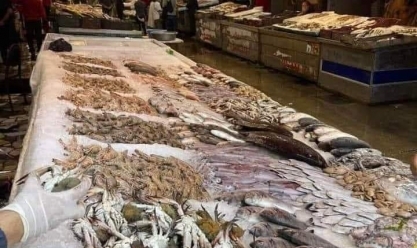تراجع أسعار السمك اليوم بسوق العبور.. اعرف البلطي بكام