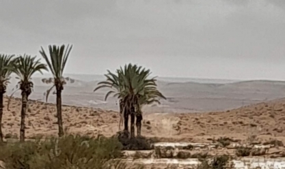 تنظيف سد الوادي بالعريش تحسبا لقدوم سيول من جبال وسط سيناء