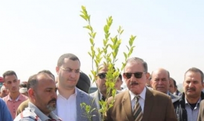 زراعة 327 ألف شجرة بكفر الشيخ.. والمحافظ: «زودوا المساحات الخضراء»