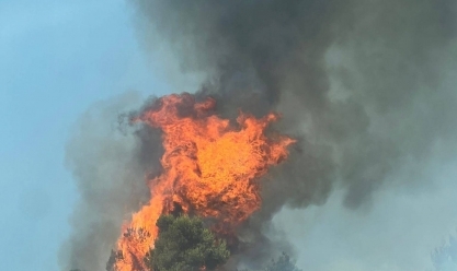حريق ضخم في مستوطنة إسرائيلية وقاعدة عسكرية بالضفة الغربية