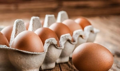 أسعار البيض في الأسواق اليوم السبت 1-6-2024