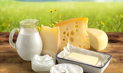 تراجع أسعار الألبان ومنتجاتها في الأسواق اليوم.. «الجبنة البيضاء بكام؟»