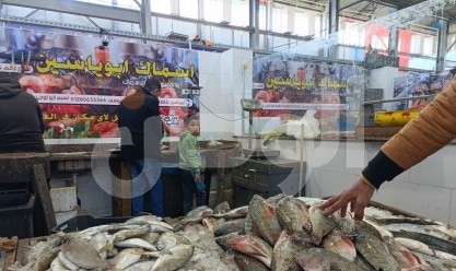 تراجع أسعار السمك البلطي اليوم في الأسواق.. «كم سجل؟»