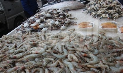 أسعار الأسماك اليوم في سوق المنيب.. البوري بـ85 جنيها
