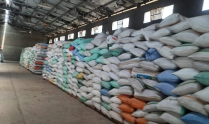 ارتفاع معدل توريد القمح إلى 265 ألف طن في 37 موقعا تخزينيا بالدقهلية