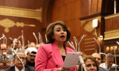 أمين سر «حقوق إنسان الشيوخ»: مصر رمانة ميزان الشرق الأوسط