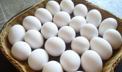 أسعار البيض اليوم السبت 6-7-2024 في المزارع والمحال