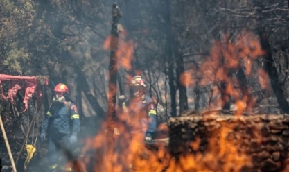 رئيس حزب البيئة العالمي للقاهرة الإخبارية: حرائق الغابات في كندا كارثية