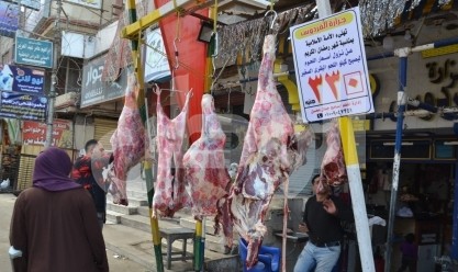 أسعار اللحوم في منافذ الزراعة بالمنوفية.. «على قد الإيد»