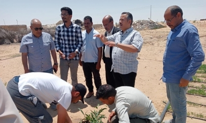 «بحوث الصحراء»: تنظيم قوافل إرشادية وتوزيع تقاوي على مزارعي سيناء بالمجان