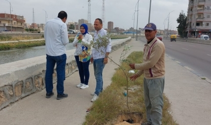 زراعة 33 ألف شجرة منذ انطلاق المرحلة الثانية من المبادرة الرئاسية بالإسكندرية
