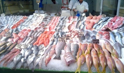 أسعار السمك والجمبري اليوم