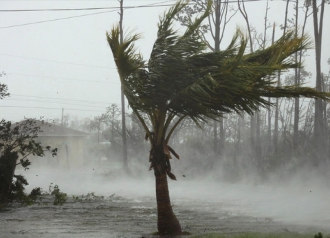 70 ألف شخص بحاجة لمساعدة فورية بسبب الإعصار دوريان