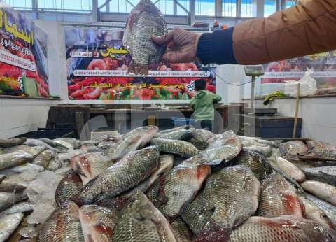 أسعار السمك
