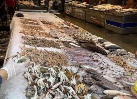 أسعار السمك اليوم في المحافظات