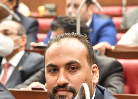 النائب محمد الرشيدي، عضو مجلس الشيوخ