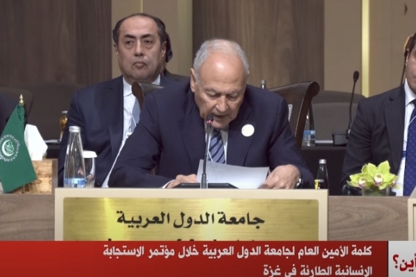 الأمين العام لجامعة الدول العربية