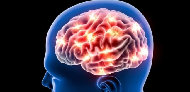 مازال هناك الكثير من الأسرار التي لا نعلمها عن المخ
