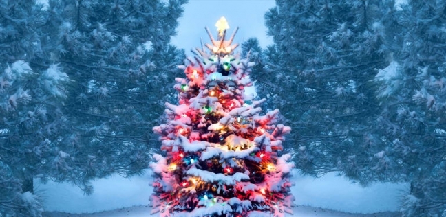 شجرة الكريسماس