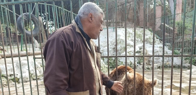 الدب الروسى مع حارسه فى حديقة حيوانات الإسكندرية