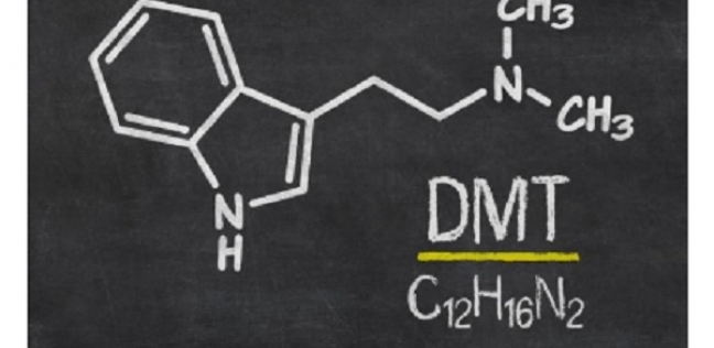 التركيب الكيميائي لمادة DMT المخدرة