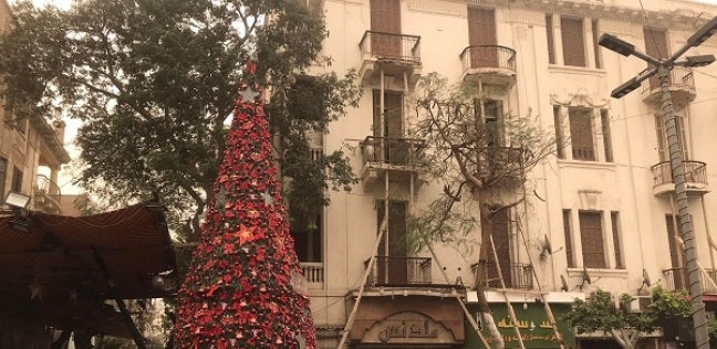 شجرة الكريماس الشاهقة بالقاهرة