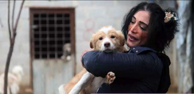 سورية توفر ملجأ لـ3500 كلب ضال لرعايتهم