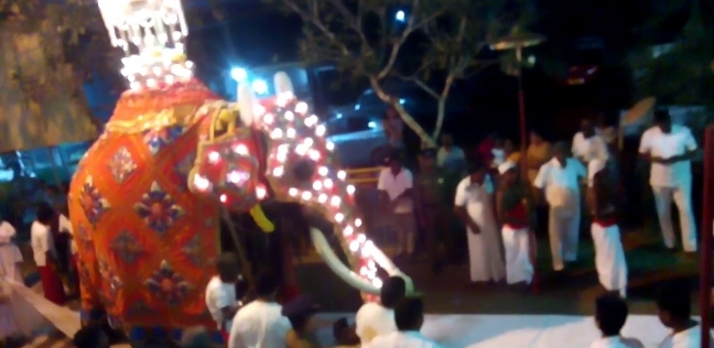 تعتبر الأفيال من العناصر الهامة في المهرجانات بالهند وسيريلانكا