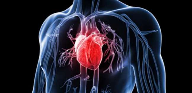 أعراض التهاب عضلة القلب .. أبرزها التعب وآلام المفاصل والصداع