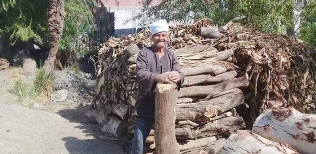 وطني عجوز يعمل في تقطيع الاشجار