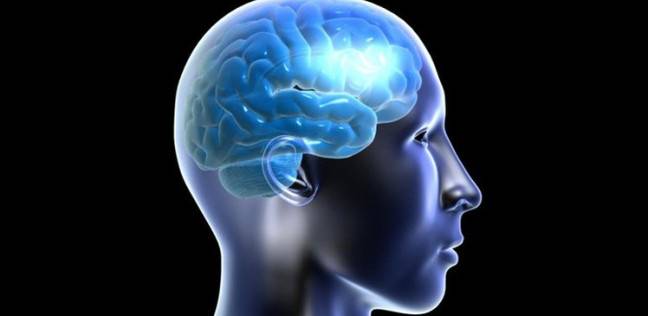 الدماغ يتوقف عن إنتاج خلايا الذاكرة من سن 13 عاما