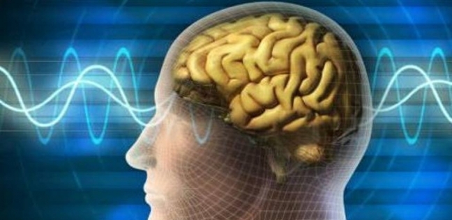 علماء دوليون يعملون على جهاز ذاكرة يشبه الدماغ