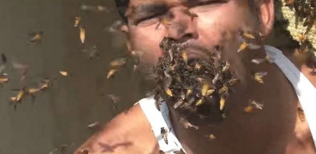 رجل "يأكل" آلاف النحلات حية