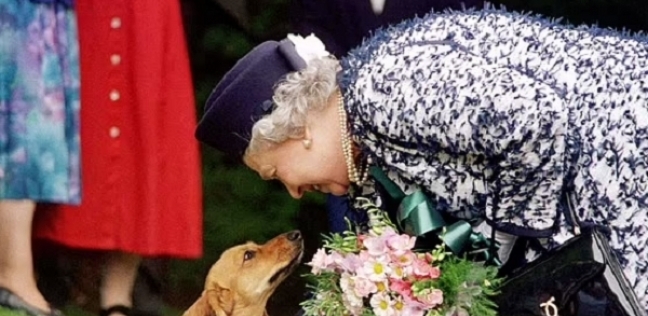 الملكة إليزابيث الثانية رفقة أحد كلابها الأليفة